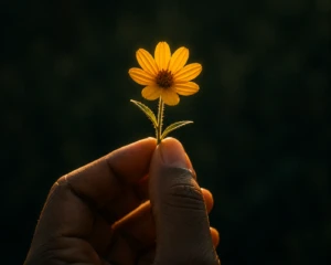 A single wildflower held gently between two fingers and illuminated, symbolizing being truly noticed and appreciated