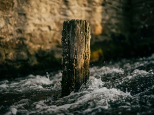 A wooden fence post standing firm against a fast-moving stream, symbolizing respect holding steady when marriage gets hard.
