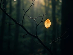 A bare branch with one golden leaf remaining, symbolizing uncertainty about whether a marriage is ending or simply in a hard season.
